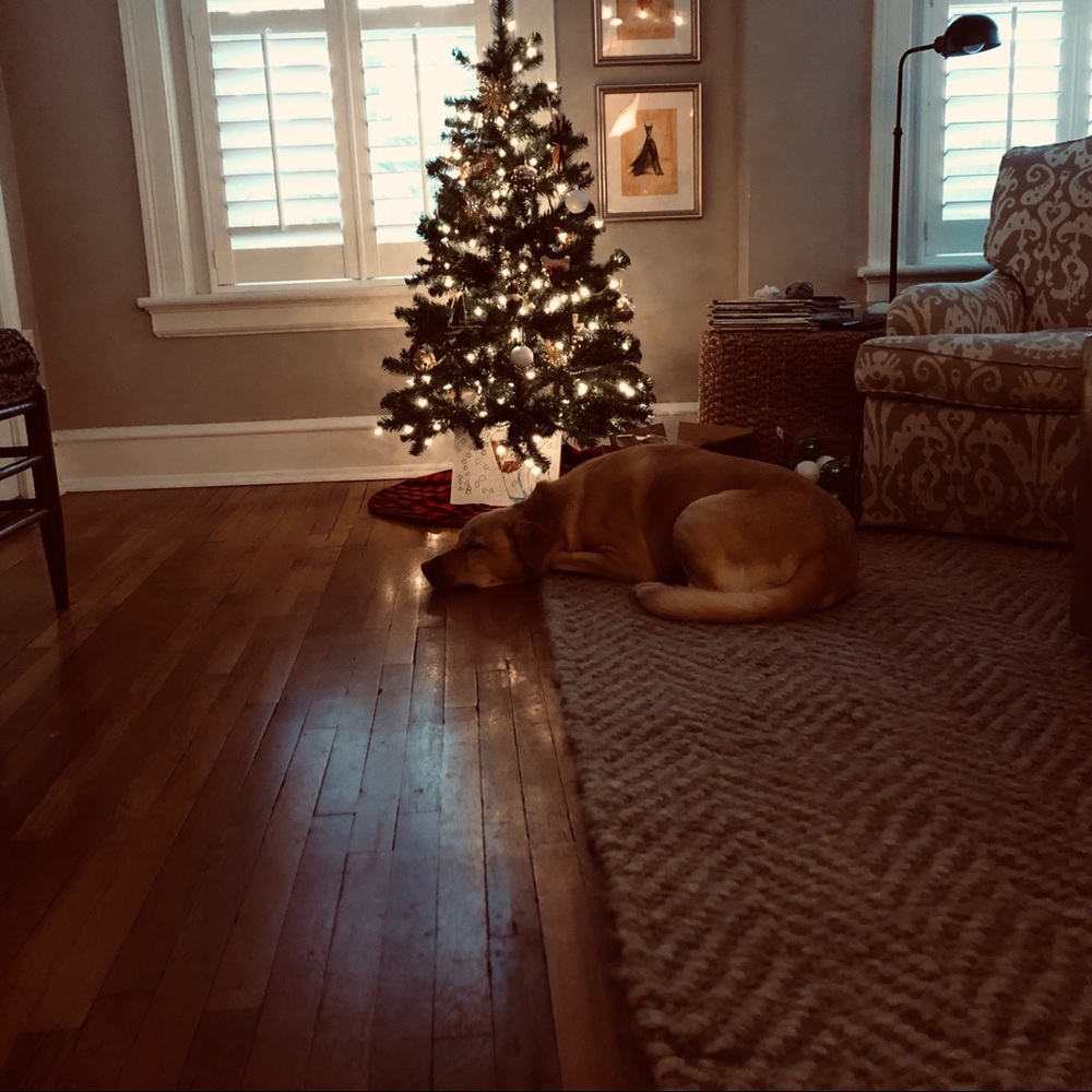 Meet your Posher, Ann